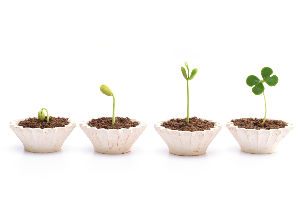 Top tips for students on how to cut costs and boost savings.